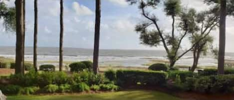 Vue sur la plage/l’océan