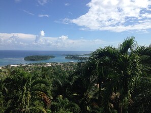 Beach/ocean view