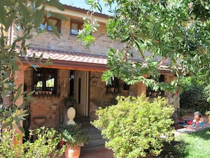 Plant, Building, Window, Flowerpot, House, Shade, Tree, Houseplant, Cottage, Neighbourhood