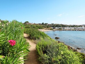 Natürliche Landschaft, Vegetation, Natur, Ufer, Küste, Naturschutzgebiet, Pflanze, Meer, Blume, Bank