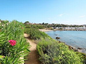 Natürliche Landschaft, Vegetation, Natur, Ufer, Küste, Naturschutzgebiet, Pflanze, Meer, Blume, Bank