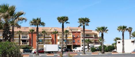 Sky, Plant, Building, Street Light, Tree, Road Surface, Window, Arecales, Vegetation, Urban Design