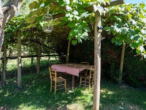 Plante, Feuille, Botanique, Ombre, Végétation, Table, Arbre, Suppression Des Plantes Ligneuses, Mobilier De Jardin, Herbe