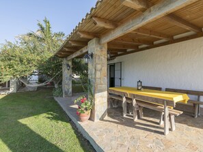 Plant, Property, Outdoor Bench, Flowerpot, Shade, Architecture, Houseplant, Sky, Wood, Road Surface