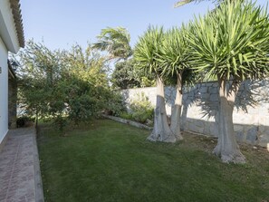 Plant, Sky, Vegetation, Terrestrial Plant, Arecales, Tree, Landscape, Shrub, Grass, Trunk