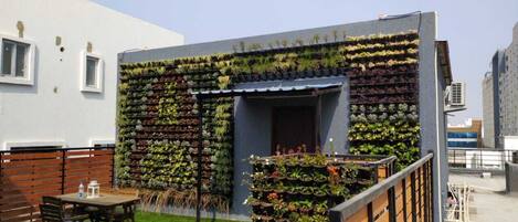 Tastefully done vertical garden and sit out