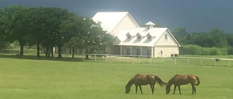 Texas Ranch Setting 