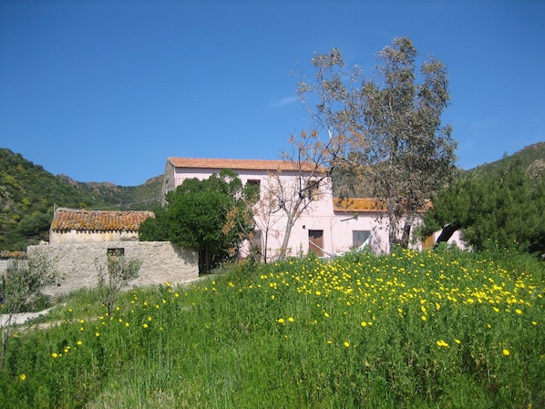 House in Spring