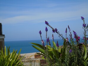 The sea from the decking.