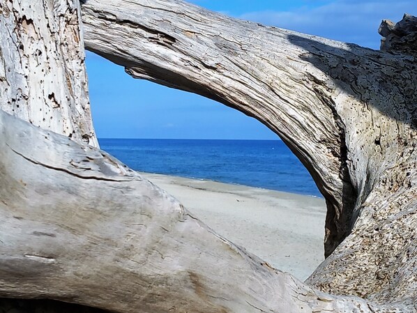 Spiaggia