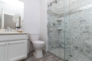 downstairs shower + toilet 