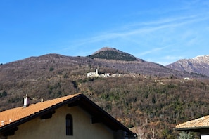 Blick ins Grüne