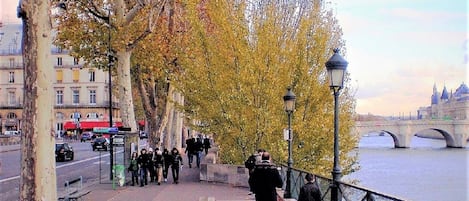 QUAI DU LOUVRE ( FRANCOIS-MITTERAND)  1 MINUTE TO APT. PONT NEUF IS AT 3 MN WALK