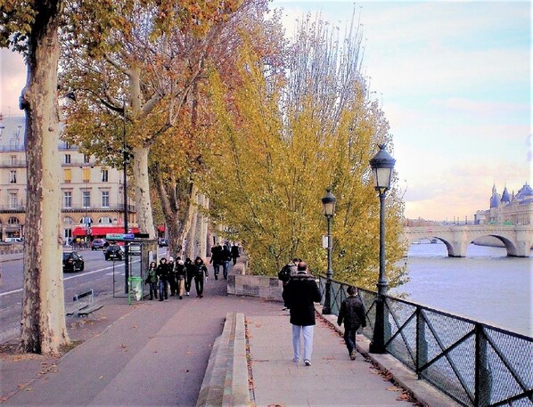 QUAI DU LOUVRE ( FRANCOIS-MITTERAND)  1 MINUTE TO APT. PONT NEUF IS AT 3 MN WALK