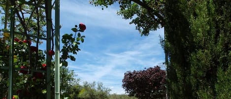 Alberca