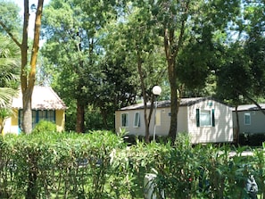 Emplacement arboré, sur un site naturel, verdoyant