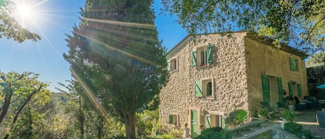 Planta, Cielo, Edificio, Propiedad, Ventana, Naturaleza, Hoja, Paisaje Natural, Vegetación, Biome