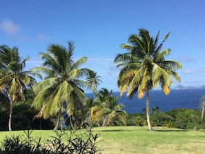 Terrain de l’hébergement 