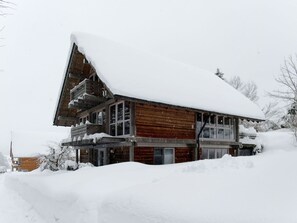 Neige, Bâtiment, Ciel, Fenêtre, Maison, Arbre, Pente, Chalet, Bois, Gelé