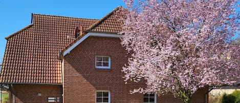 Sky, Plant, Property, Window, Building, House, Tree, Wood, Grass, Real Estate