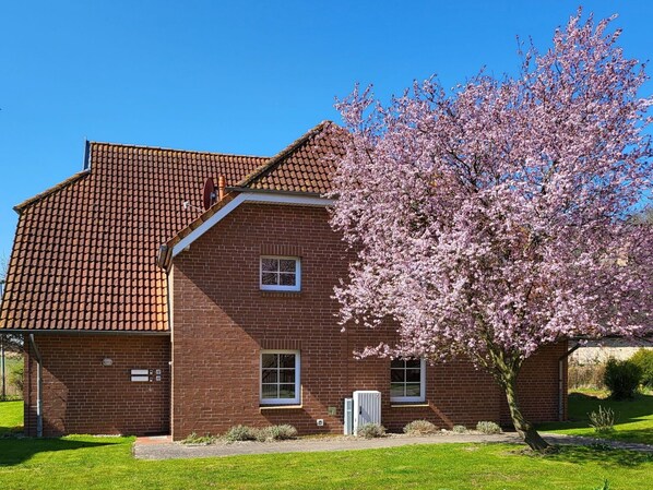 Himmel, Pflanze, Eigentum, Fenster, Gebäude, Haus, Baum, Holz, Gras, Grundeigentum