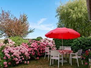 Flor, Paraguas, Rosado, Planta, Primavera, Jardín, Paisajismo, Patio, Arbusto, Mueble