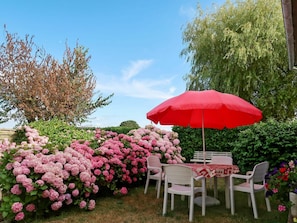 Blume, Regenschirm, Rosa, Pflanze, Frühling, Garten, Landscaping, Terrasse, Strauch, Möbel