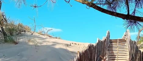 Sky, Water, Plant, Wood, Fence, Natural Landscape, Cloud, Tree, Biome, Beach