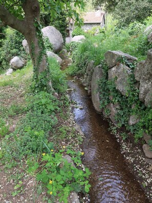 Pflanze, Natürliche Landschaft, Ast, Wasser, Vegetation, Wasserlauf, Bedrock, Gras, Biome, Baum