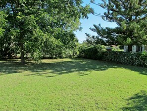 Gras, Natürliche Landschaft, Rasen, Grün, Eigentum, Baum, Vegetation, Natürlichen Umgebung, Grundstueck, Garten