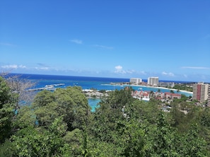 View from the gazebo