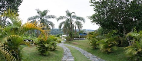 Terrenos do alojamento