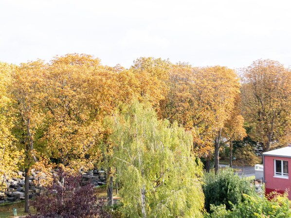 Boendeområde