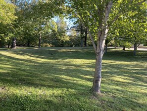 Green area north of cottage.  Walking trail starts beside this area.