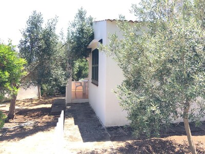 Duplex with terrace and pool