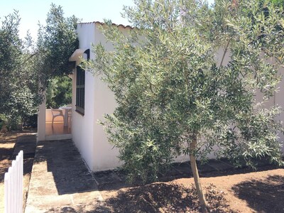 Duplex with terrace and pool