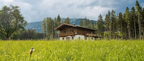 Feriebolig udendørs (sommer)