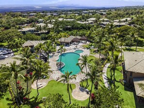 Relax under the royal palms in the properties pool and hot tub
