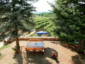 Property, Tree, Nature Reserve, Real Estate, House, Table, Plant Community, Rural Area, Furniture, Building