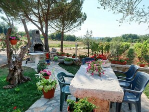 Jardin, Cour, Propriété, Arrière-Cour, Aménagement Paysager, Botanique, Arbre, Paysage, Plante, Fleur