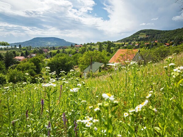 Grün, Bergforms, Natur, Vegetation, Hügel, Natürliche Landschaft, Wiese, Sommer, Wolke, Landschaft