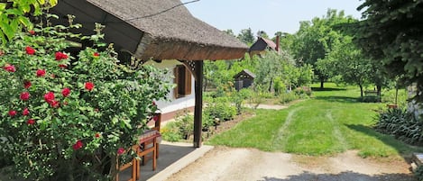 Pianta, Cielo, Fiore, Costruzione, Proprietà, Comunita 'Impianto, Paesaggio Naturale, Albero, Finestra, Vegetazione