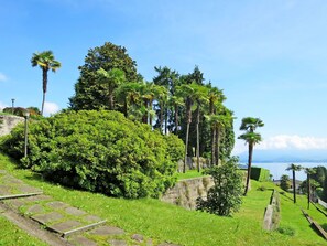 Vegetation, Nature, Tree, Green, Sky, Garden, Botany, Plant, Grass, Woody Plant