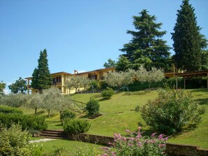 Natürliche Landschaft, Vegetation, Eigentum, Garten, Haus, Baum, Estate, Botanischer Garten, Botanik, Zuhause