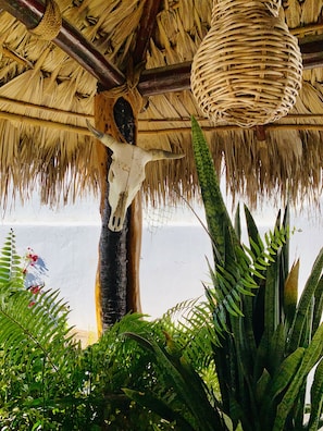 Palapa with twinkling lights