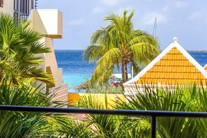Beach/ocean view
