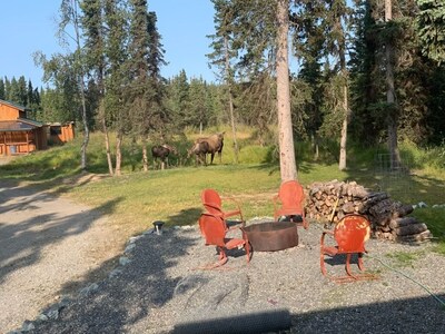 Private Alaskan Cabin on 1 Acre, pet friendly