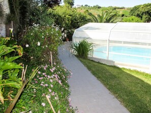 Fleur, Plante, L'Eau, Communauté Des Plantes, Botanique, Végétation, Herbe, Arbuste, Pétale, Couverture De Sol