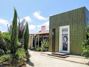 Strauch, Garten, Garten, Landscaping