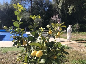 Jardines del alojamiento